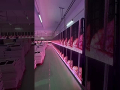 LED透明グリルスクリーンレンタルイベントガラスカーテンディスプレイウィンドウ P3.91～P7.82